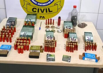 Brasil Novo: Homem é preso em flagrante por comércio ilegal de munição