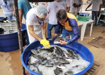 Foto: Divulgação / Norte Energia
