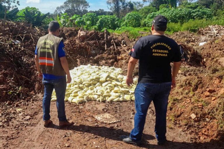 A carga foi destruída no aterro sanitário de Quatro Bocas