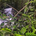 Três pessoas morrem após queda de avião no Pará