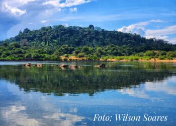 Foto: Wilson Soares / A Voz do Xingu