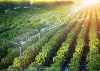 Equatorial Pará dá dicas de economia de energia na zona rural