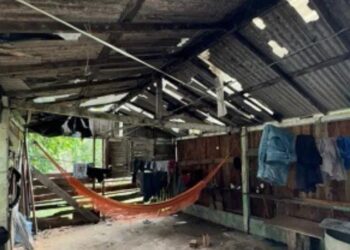 Operação resgata trabalhadores em situação degradante em carvoaria. — Foto: Divulgação