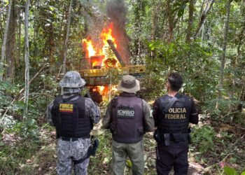 Trator usado na atividade de garimpo ilegal foi destruído durante operação Ararajuba — Foto: Polícia Federal / Divulgação
