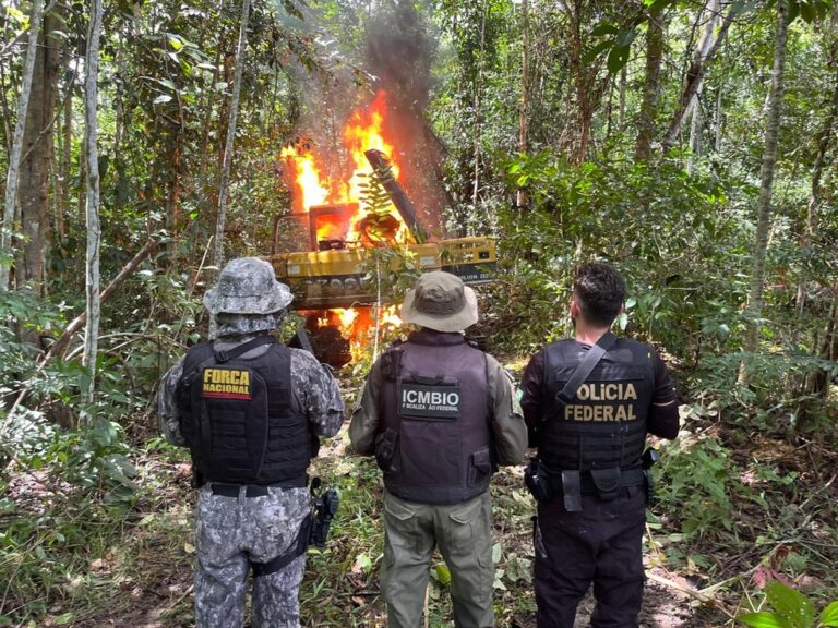 Trator usado na atividade de garimpo ilegal foi destruído durante operação Ararajuba — Foto: Polícia Federal / Divulgação