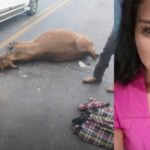 Motociclista morre ao colidir com uma vaca em Eldorado dos Carajás, no Pará