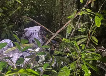 O avião monomotor caiu em uma área de mata do Ramal do Linhão, Arapari, em Barcarena. (Foto: Reprodução | WhatsApp)