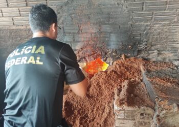 Foto: Divulgação/PF