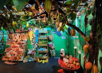 Foto: Wilson Soares / A Voz do Xingu