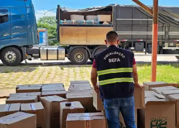 Os 492 pares de tênis que estavam escondidos em um caminhão, nesta sexta-feira (17), em Conceição do Araguaia, na PA-447, km 15, sudeste do Pará. (Foto: Divulgação | Agência Pará)