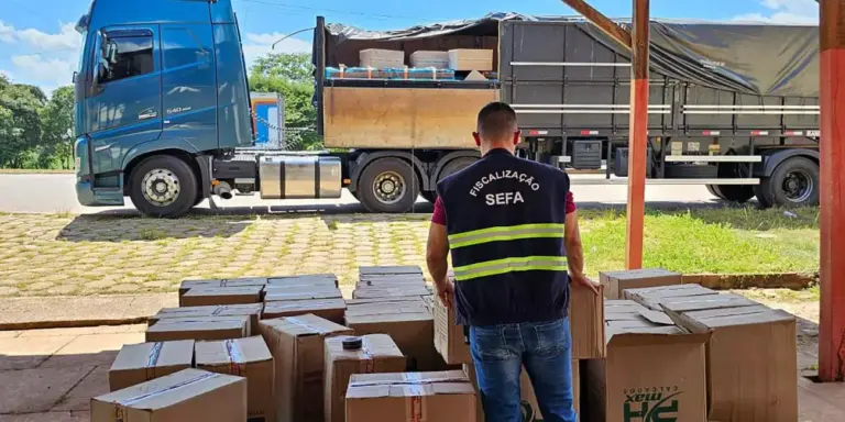 Os 492 pares de tênis que estavam escondidos em um caminhão, nesta sexta-feira (17), em Conceição do Araguaia, na PA-447, km 15, sudeste do Pará. (Foto: Divulgação | Agência Pará)