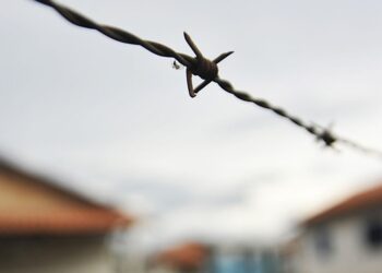 Pará lidera conflitos no campo na Amazônia, aponta CPT. — Foto: Agência Brasil