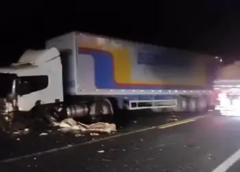 Condutor morre após carro colidir com cavalo e se chocar com carreta, na BR-010