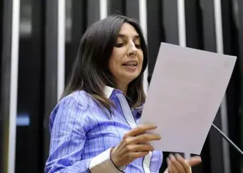 Ex-deputada federal Ann Pontes será conselheira do TCM (Arquivo / Câmara dos Deputados)