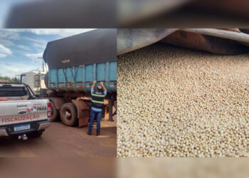 Foto: Agência Pará