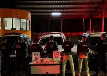 A PRF informou que o skunk tem um alto poder de mercado por ser de 7 a 10 vezes mais forte que a maconha (Divulgação/PRF Pará)