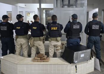 Três homens são presos e 6,6 quilos de skunk apreendidos em Santarém