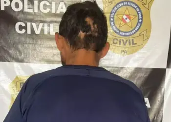 A vítima era a própria mãe do investigado. (Divulgação/ PC)