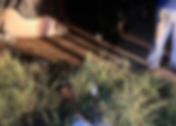 Mulher foi torturada e morta com requintes de crueldade, em Rio Maria. — Foto: Redes Sociais