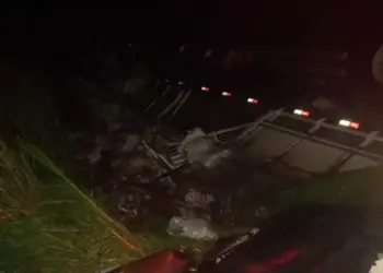 Equipes da Polícia Militar e da Guarda de Trânsito foram acionadas para atender a ocorrência. Ao chegar no local, foi constatado que a carreta havia saído da pista e virado na área de mata. (Divulgação/ PM)