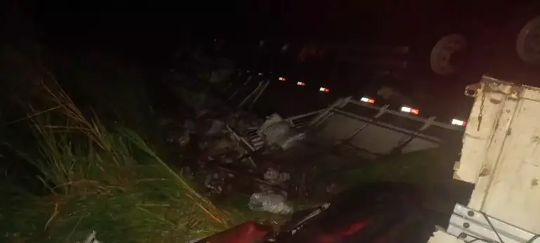 Equipes da Polícia Militar e da Guarda de Trânsito foram acionadas para atender a ocorrência. Ao chegar no local, foi constatado que a carreta havia saído da pista e virado na área de mata. (Divulgação/ PM)