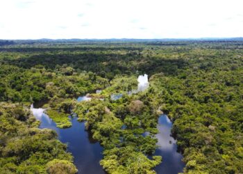 Região do Iriri em Altamira/PA - Foto: Evair Almeida