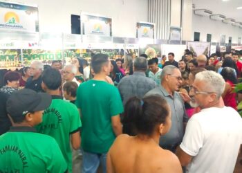 Foto: Divulgação/Agência Pará