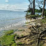 Idoso é encontrado morto às margens do Rio Tucuruí em Vitória do Xingu (PA)
