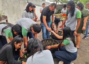 Semana do Meio Ambiente da Emater prepara cooperação com Ufopa em Santarém