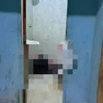 Homem é assassinado a tiros dentro da casa da namorada em Parauapebas, no Pará