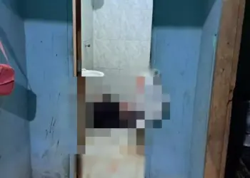 A Polícia Civil foi acionada às 23h30 para atender a ocorrência. No endereço onde ocorreu o crime, a vítima foi encontrada caída no chão do banheiro. (Reprodução/ Correio de Carajás)