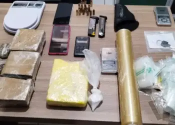 A dupla, juntamente com todo o material apreendido, foi encaminhada à Delegacia de Polícia Civil de Altamira, onde a autoridade policial de plantão realizou os procedimentos legais. (Foto: divulgação/ PMPA)