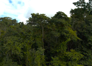 Foto: Divulgação/Norte Energia