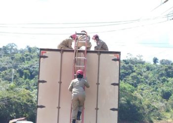 Max Martins de Vasconcelos Junior, um motorista de caminhão de 34 anos, morreu eletrocutado nesta sexta-feira (28) — Foto: Divulgação