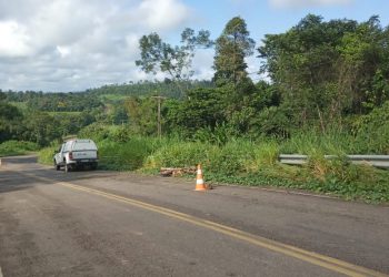 Foto: Felipe Soares - enviada para A Voz do Xingu