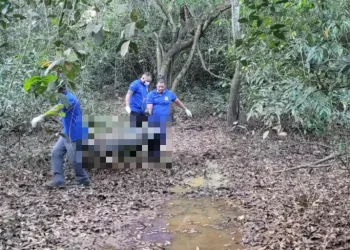 Imagem mostra uma equipe da Polícia Científica (PCEPA) removendo o corpo de Antônio Klayton Ferreira dos Santos Lima, de 44 anos. (Foto: Reprodução | Correio de Carajás)