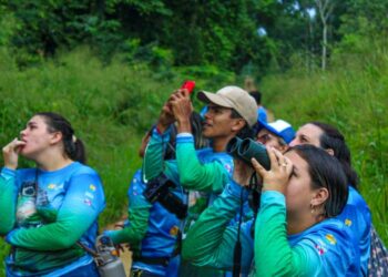 Pará é destaque em e-book da Embratur sobre atividade de observação de aves