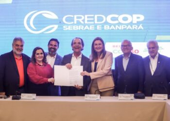 Governo do Pará e Sebrae lançam linha de crédito para pequenos negócios visando COP30