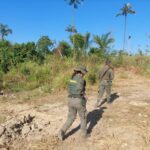 Ibama inutiliza garimpo ilegal no entorno da TI Menkragnoti, no Pará