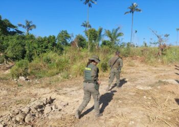 Ibama inutiliza garimpo ilegal no entorno da TI Menkragnoti, no Pará