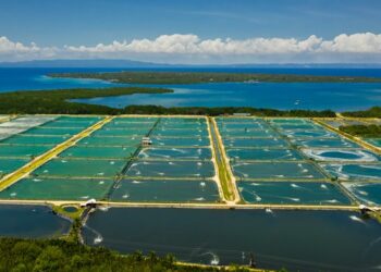 Ministério da Pesca e Aquicultura simplifica licenciamento para aquicultores