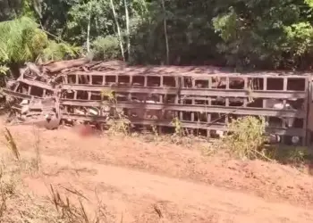 Imagem do caminhão tombado após acidente (Foto: Correio de Carajás)