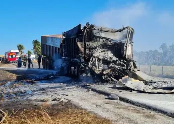 Para liberar a pista, um caminhão guincho foi acionado para retirar o veículo queimado. (Reprodução/ Redes sociais)