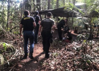 Estado reforça ações de combate ao desmatamento com prorrogação do decreto de emergência ambiental