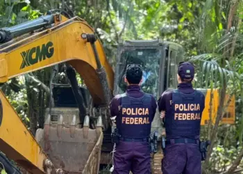 Três garimpos reativados ilegalmente são fechados pela PF em Curionópolis