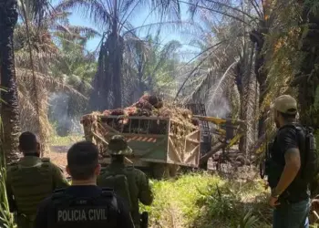 Deflagrada pela Polícia Civil, a “Operação Caixinha” foi realizada em Moju, no nordeste do Pará (Foto: Divulgação/Polícia Civil)