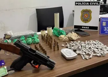 A imagem mostra todo o material apreendido após a ação conjunta entre a PM e a PC, que inclui armas, munições, drogas e um celular. (Foto: Reprodução | Redes sociais)