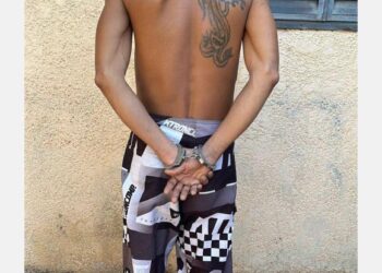 Com apoio da Polícia de São Paulo, PCPA prende investigado por roubar e matar jovem em Castanhal