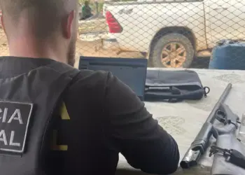 Policiais federais em ação na região de Placas (Imagem: Polícia Federal)