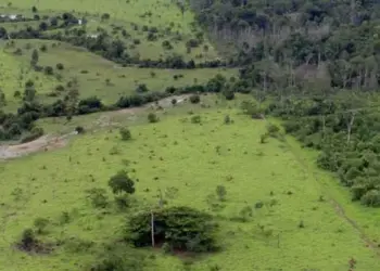 Foto: Ministério do Meio Ambiente/arquivo